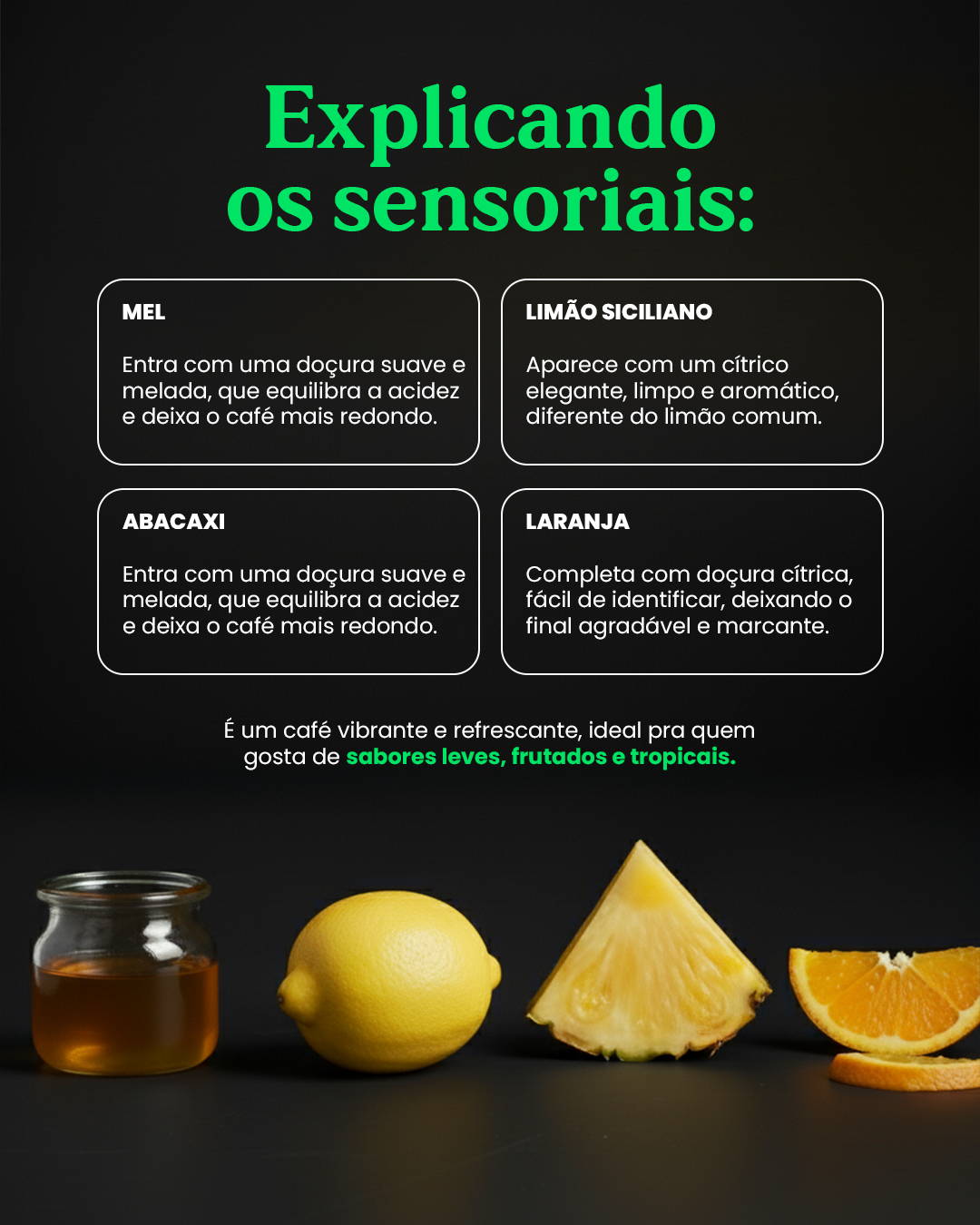 Santos Dumont – Café Especial | Coleção Pensadores