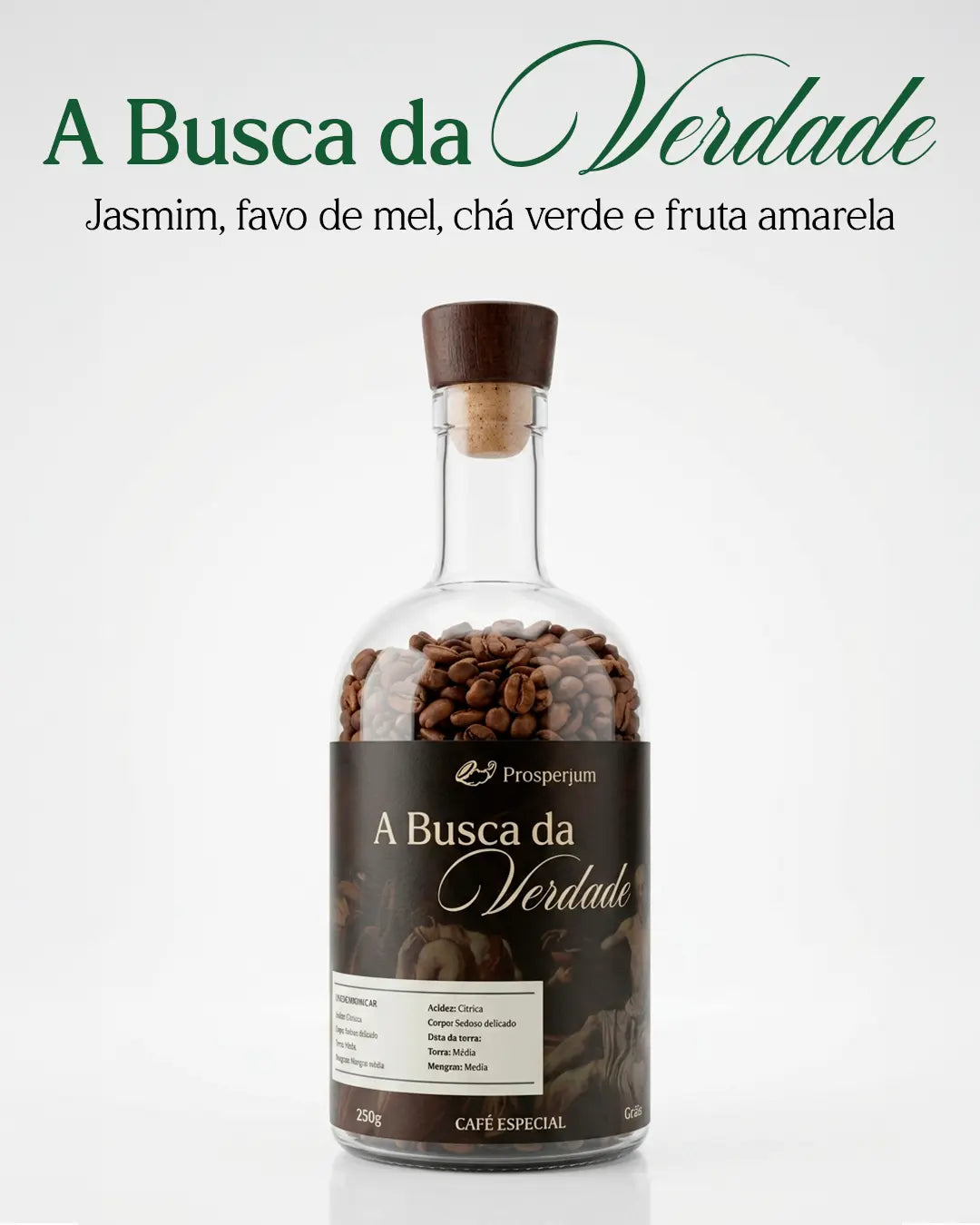 Geisha A Busca da Verdade - Prosperium 90 Pts