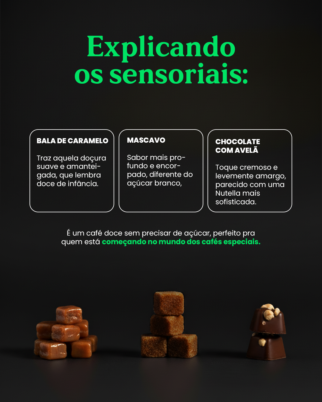 Leonardo da Vinci – Café Especial | Coleção Pensadores