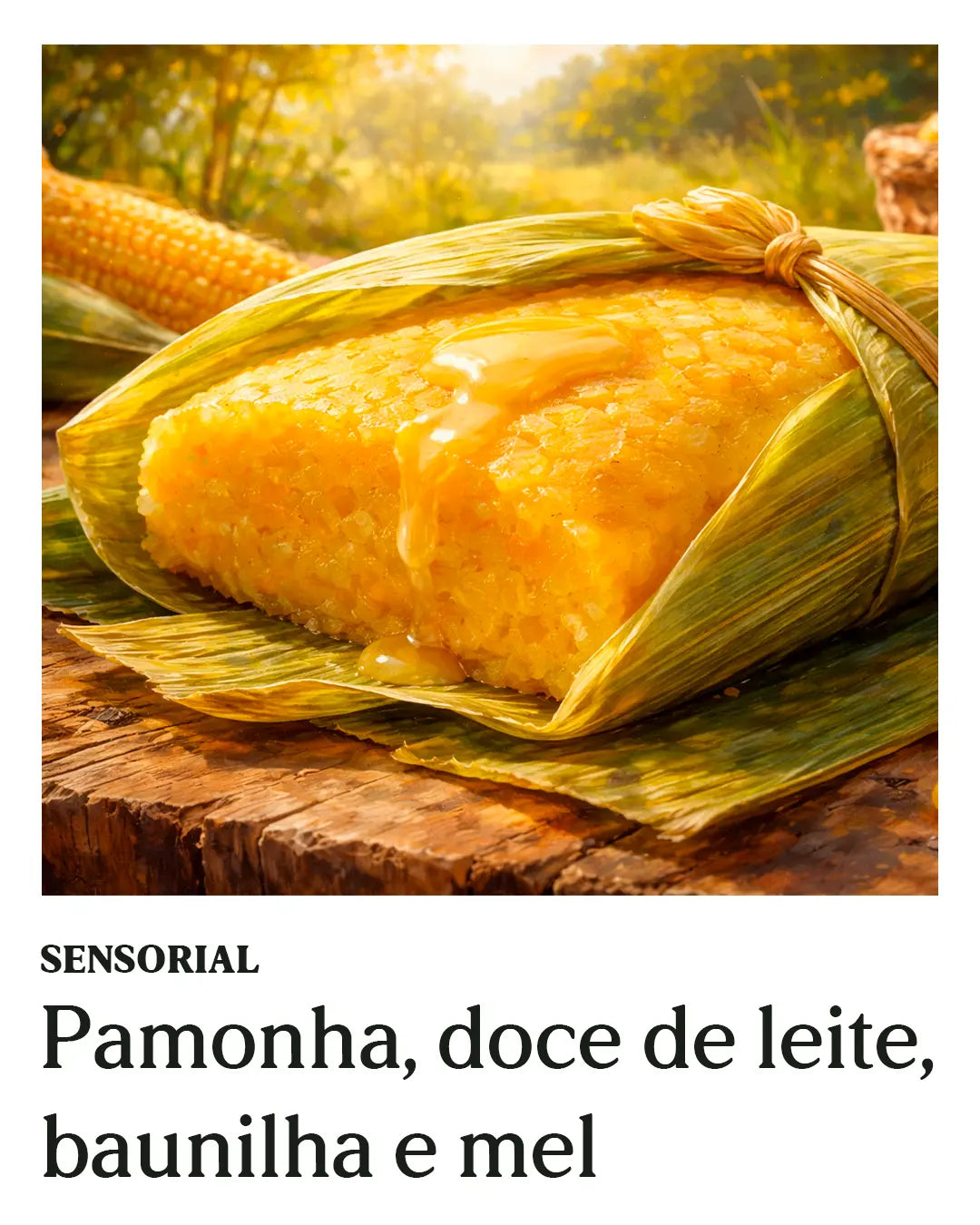 Pamonha – Café Especial | Coleção Back to Routine